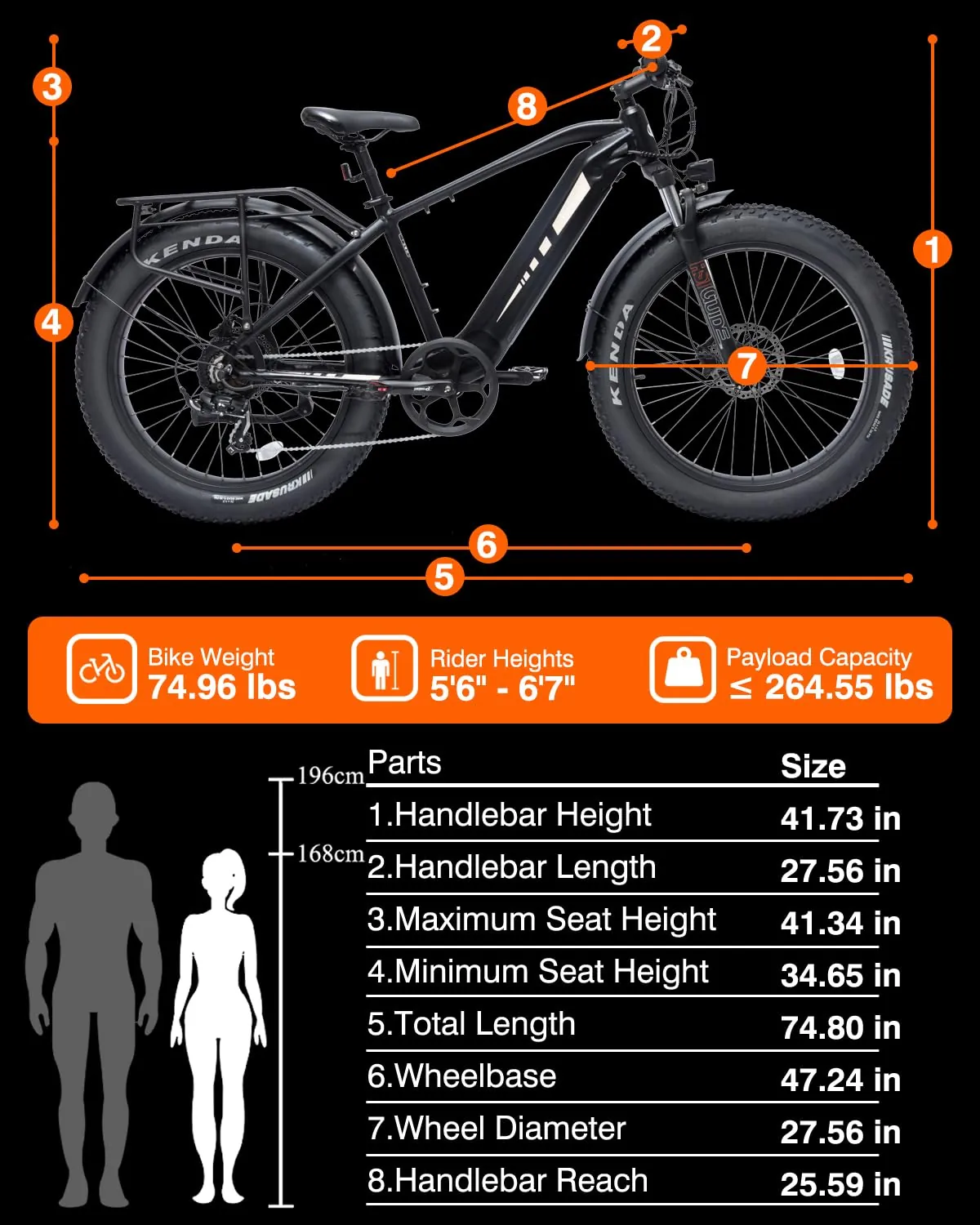 Bodywel D6 – foto 5