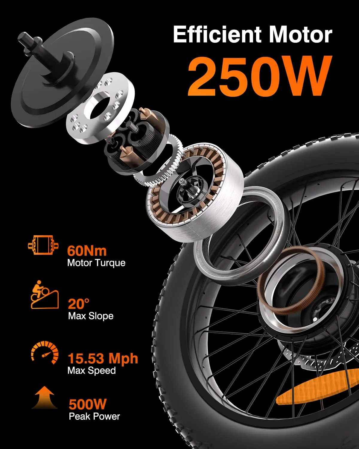 Bodywel F20 – foto 2