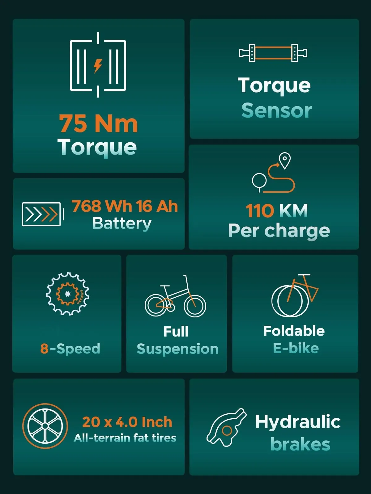 ENGWE Engine Pro 2.0 (zwart) – foto 4