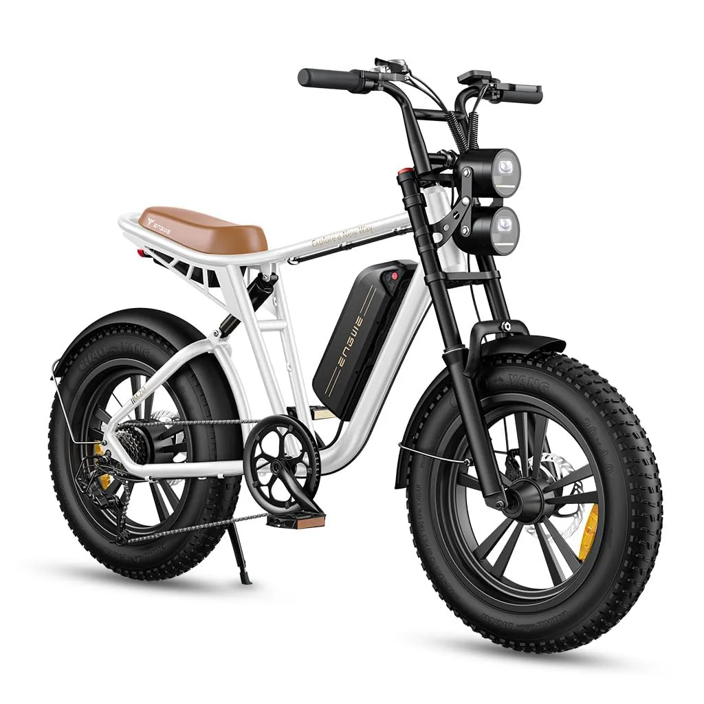 ENGWE M20 (1 accu)