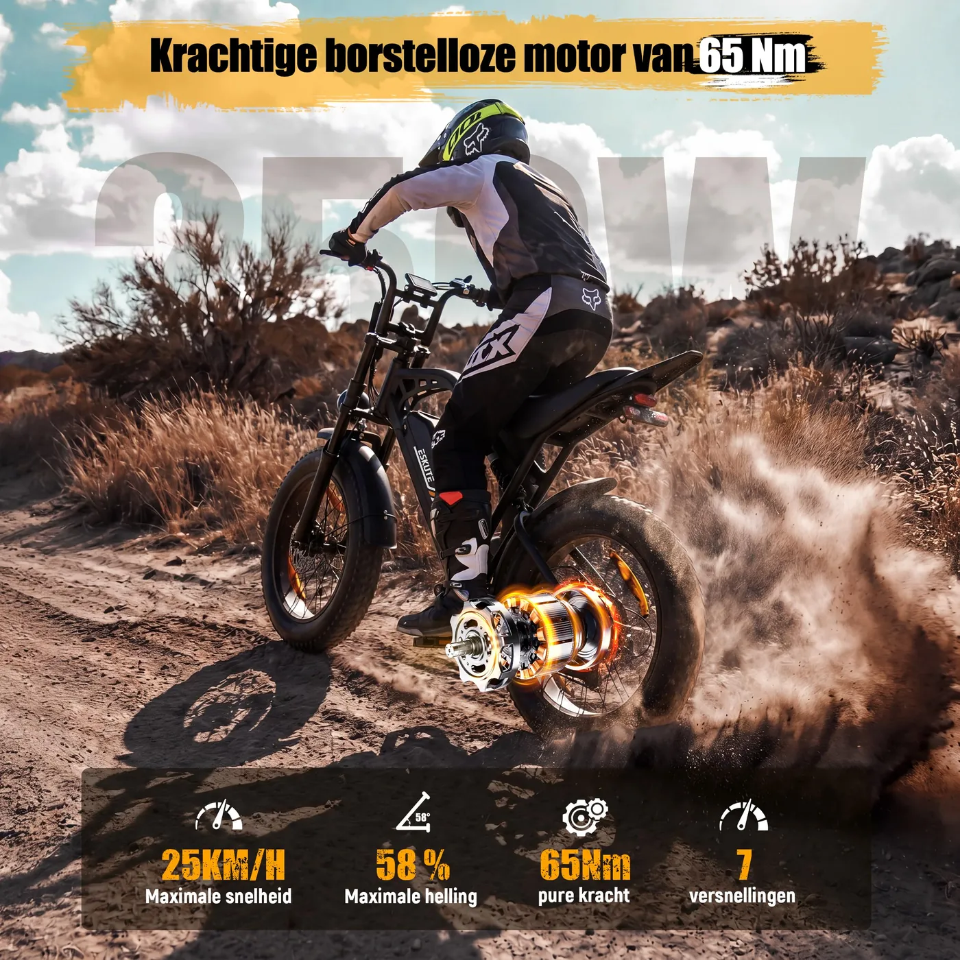 ESKUTE V202 – photo 3